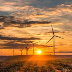 sunset at windfarm in France