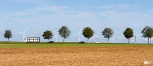 concours-photos-fee-éoliennes et train train quotidien en Bourgogne