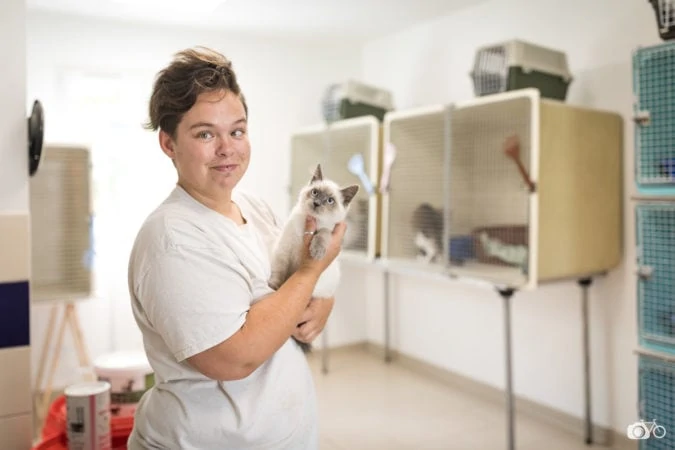 salariée du refuge spa du pays de saint malo portant un chaton
