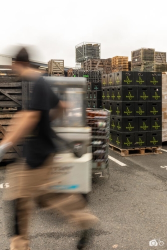 FRANCE-LABOUR-BEER-GLASS-BOTTLE-RE-USE