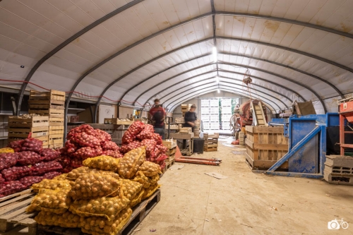 20221018-photoreportage-maraichage-marais-sage©lephotographeambulant-01