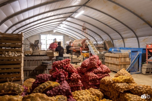 20221018-photoreportage-maraichage-marais-sage©lephotographeambulant-02