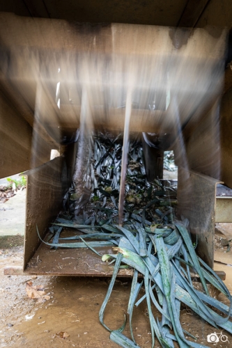 20221018-photoreportage-maraichage-marais-sage©lephotographeambulant-03