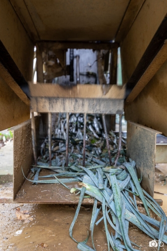 20221018-photoreportage-maraichage-marais-sage©lephotographeambulant-04