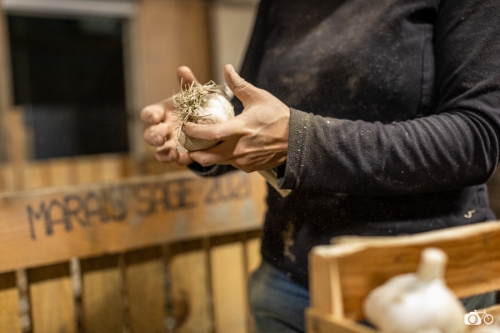 20221018-photoreportage-maraichage-marais-sage©lephotographeambulant-11