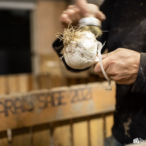 20221018-photoreportage-maraichage-marais-sage©lephotographeambulant-12