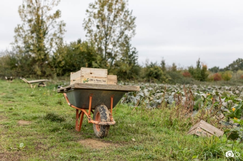 20221018-photoreportage-maraichage-marais-sage©lephotographeambulant-19