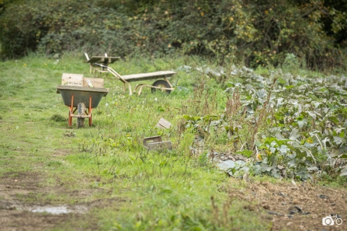 20221018-photoreportage-maraichage-marais-sage©lephotographeambulant-26