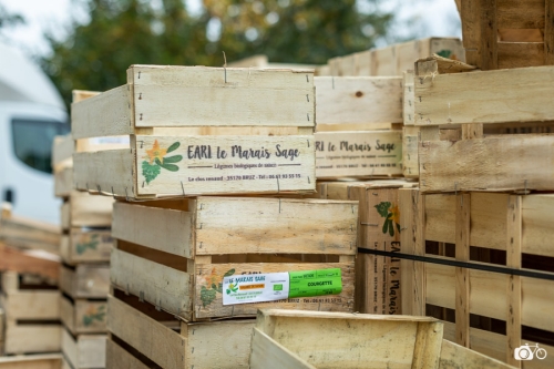 20221018-photoreportage-maraichage-marais-sage©lephotographeambulant-29