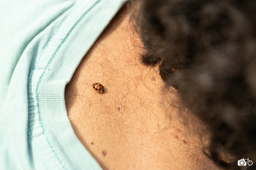 20221019-photoreportage-maraichage-jardin-1000-pas©lephotographeambulant-01