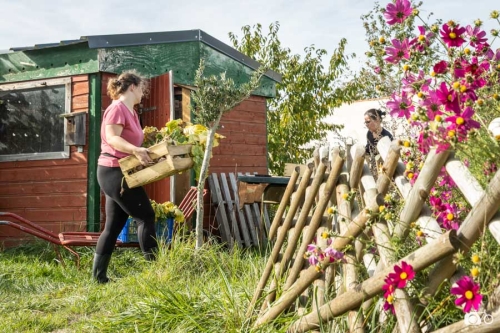 20221019-photoreportage-maraichage-jardin-1000-pas©lephotographeambulant-13