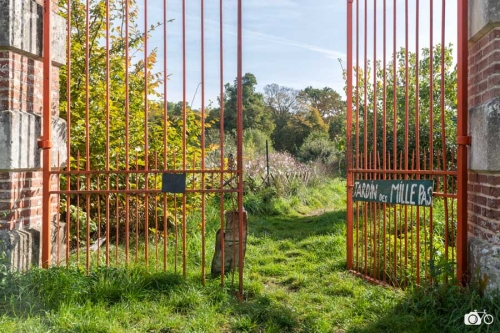 20221019-photoreportage-maraichage-jardin-1000-pas©lephotographeambulant-14