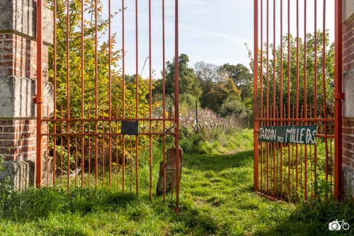 20221019-photoreportage-maraichage-jardin-1000-pas©lephotographeambulant-15