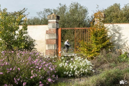 20221019-photoreportage-maraichage-jardin-1000-pas©lephotographeambulant-16
