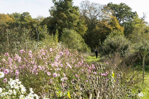 20221019-photoreportage-maraichage-jardin-1000-pas©lephotographeambulant-19