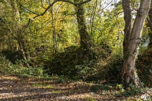 20221019-photoreportage-maraichage-jardin-1000-pas©lephotographeambulant-25