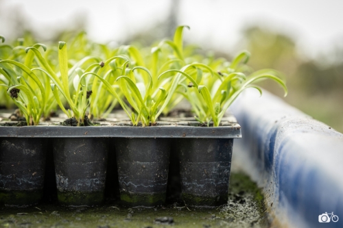 20221019-photoreportage-maraichage-jardin-1000-pas©lephotographeambulant-29