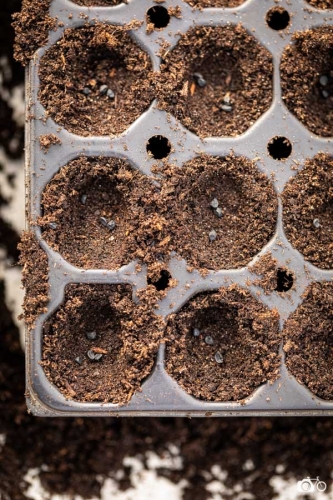 20221019-photoreportage-maraichage-jardin-1000-pas©lephotographeambulant-31