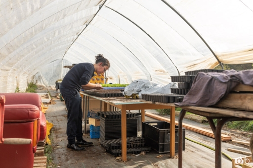 20221019-photoreportage-maraichage-jardin-1000-pas©lephotographeambulant-36