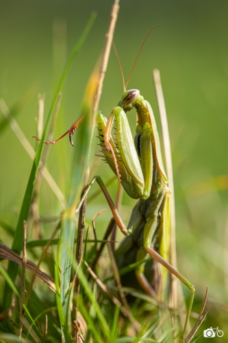 20221019-photoreportage-maraichage-jardin-1000-pas©lephotographeambulant-42