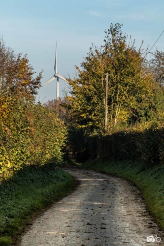 SIGNATURE-PAYSAGERE-PARC-EOLIEN-DAMERAUCOURT