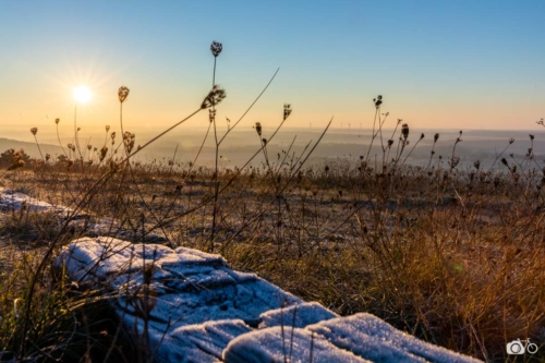 SIGNATURE-PAYSAGERE-PARC-EOLIEN-RIAUCOURT