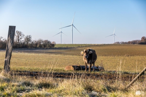 SIGNATURE-PAYSAGERE-PARC-EOLIEN-RIAUCOURT