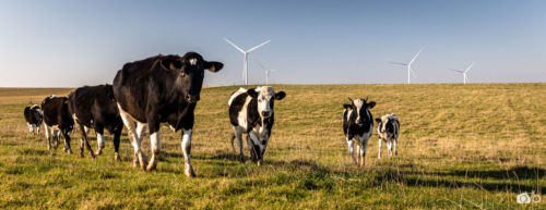 SIGNATURE-PAYSAGERE-PARC-EOLIEN-RIAUCOURT