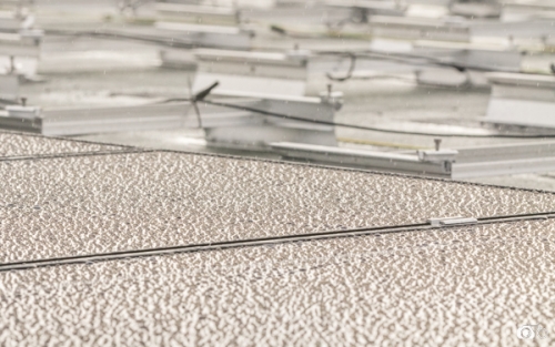 Quenea-solaire-Gourvilly©lephotographeambulant-12