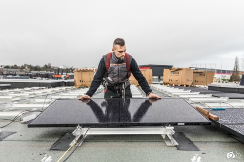 Quenea-solaire-Gourvilly©lephotographeambulant-16