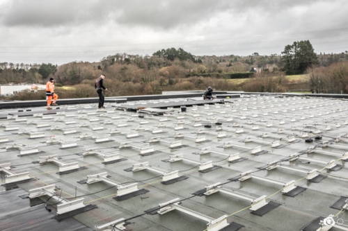 Quenea-solaire-Gourvilly©lephotographeambulant-19