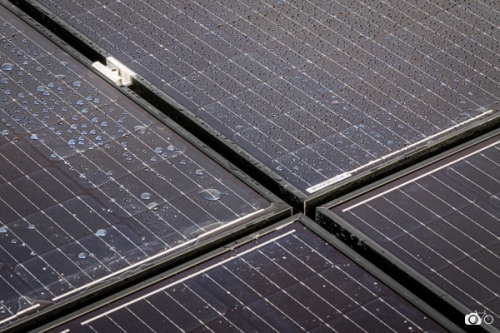 Quenea-solaire-Gourvilly©lephotographeambulant-25