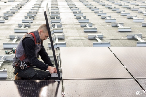 Quenea-solaire-Gourvilly©lephotographeambulant-26