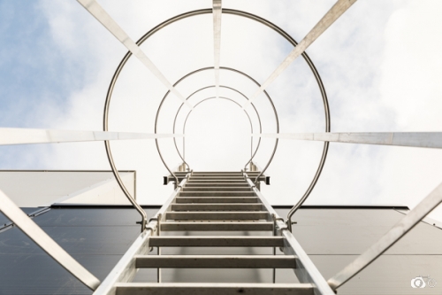 Quenea-solaire-Gourvilly©lephotographeambulant-30