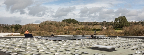 Quenea-solaire-Gourvilly©lephotographeambulant-40