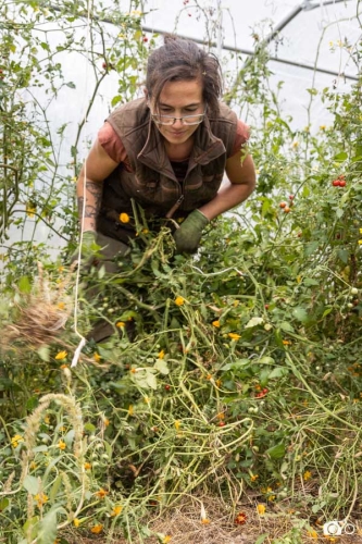 photoreportage-maraichage-Bretagne-coulisses©lephotographeambulant-08