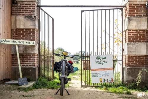 photoreportage-maraichage-Bretagne-coulisses©lephotographeambulant-19