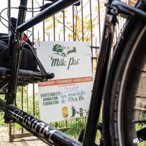 photoreportage-maraichage-Bretagne-coulisses©lephotographeambulant-20