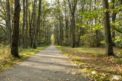 photoreportage-maraichage-Bretagne-coulisses©lephotographeambulant-29