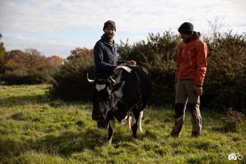 photoreportage-maraichage-Toucane©lephotographeambulant-13