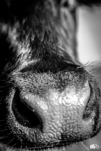 photoreportage-maraichage-Toucane©lephotographeambulant-14