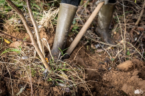 photoreportage-maraichage-Toucane©lephotographeambulant-17
