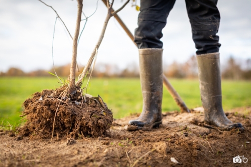 photoreportage-maraichage-Toucane©lephotographeambulant-20