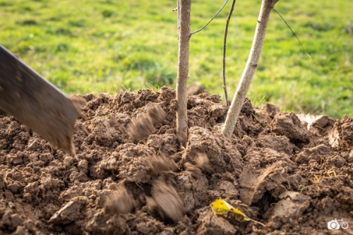 photoreportage-maraichage-Toucane©lephotographeambulant-24