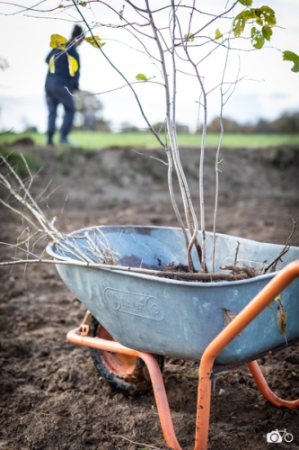 photoreportage-maraichage-Toucane©lephotographeambulant-29