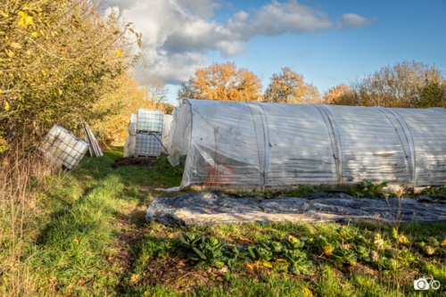 photoreportage-maraichage-Toucane©lephotographeambulant-31