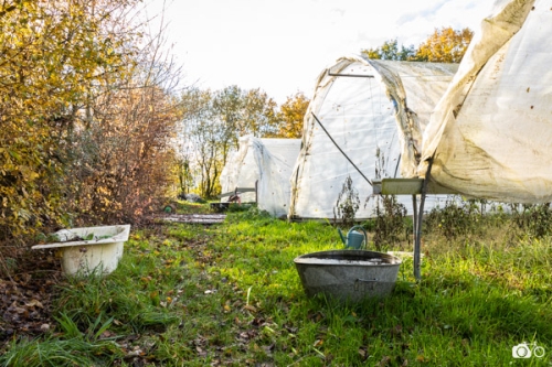 photoreportage-maraichage-Toucane©lephotographeambulant-35