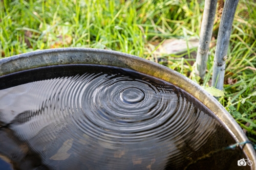 photoreportage-maraichage-Toucane©lephotographeambulant-36