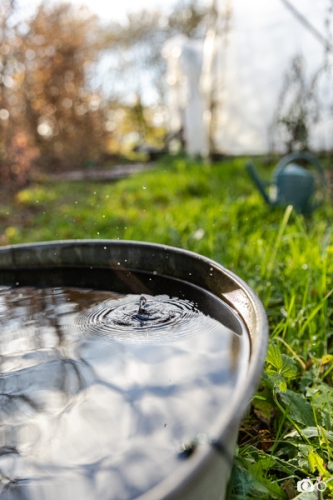 photoreportage-maraichage-Toucane©lephotographeambulant-38