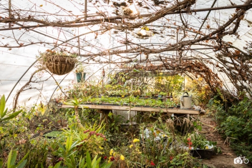 photoreportage-maraichage-Toucane©lephotographeambulant-46